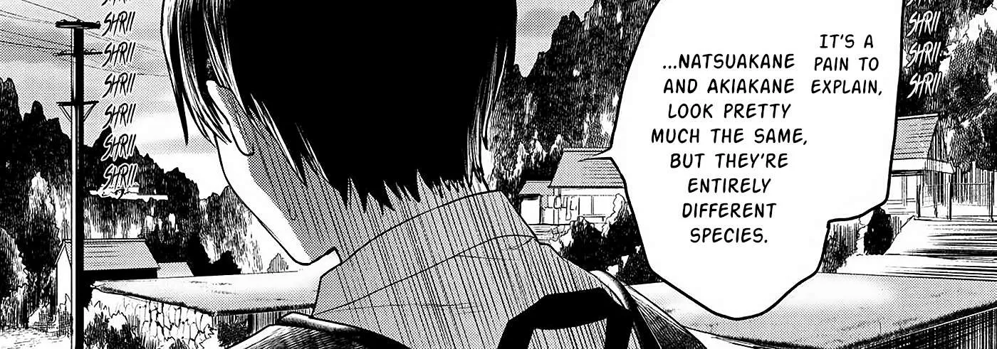 Hikaru ga Shinda Natsu Chapter 2 page 23 - 