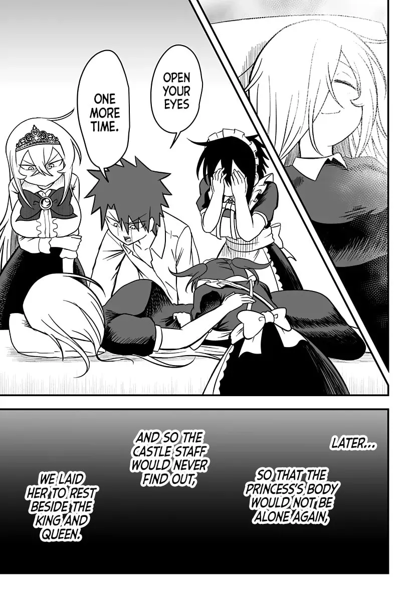 Hime Shinjatta! Chapter 24 page 24 - 