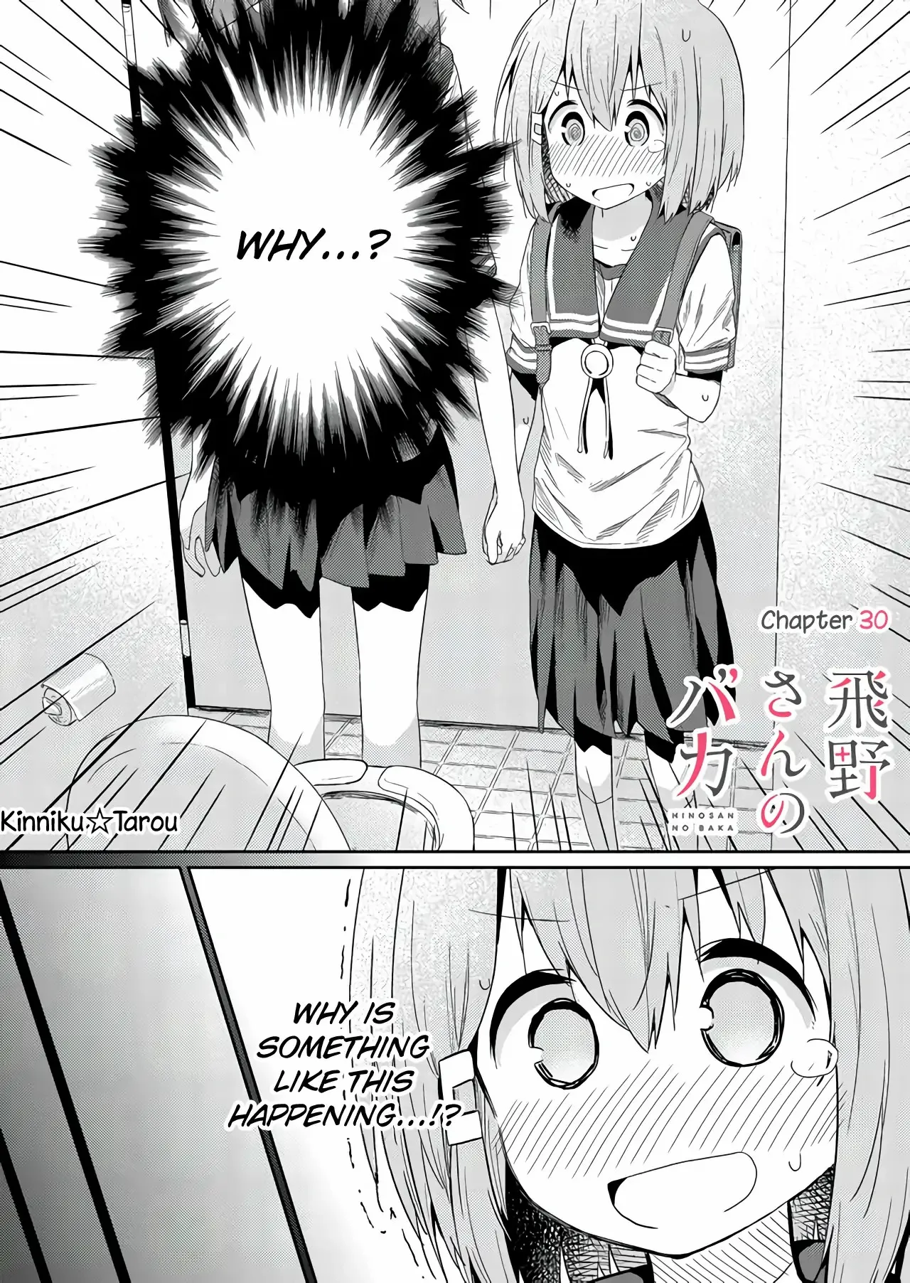 Hino-san is a Dummy Chapter 30 page 1 - 
