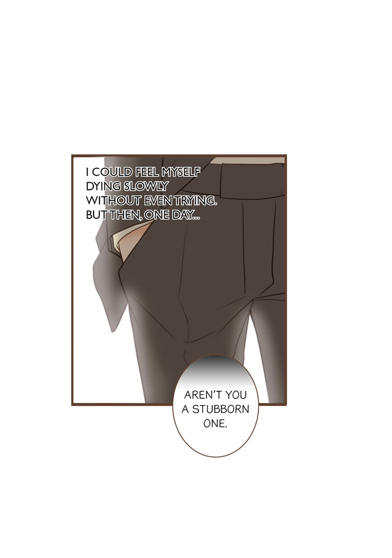 His House (YOO Ha jin) Chapter 43 page 11 - 