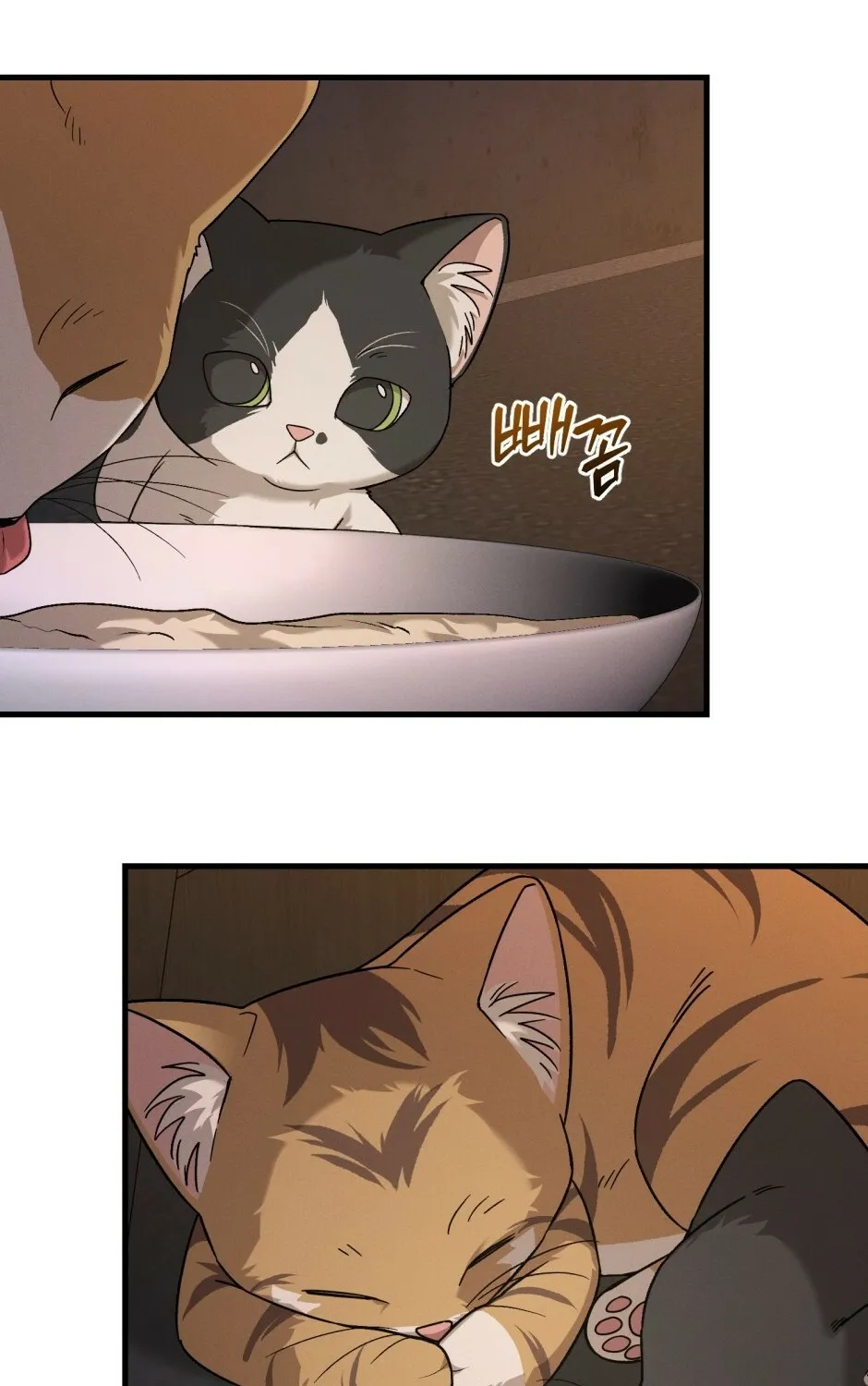 His Last Choice Chapter 11 page 67 - 