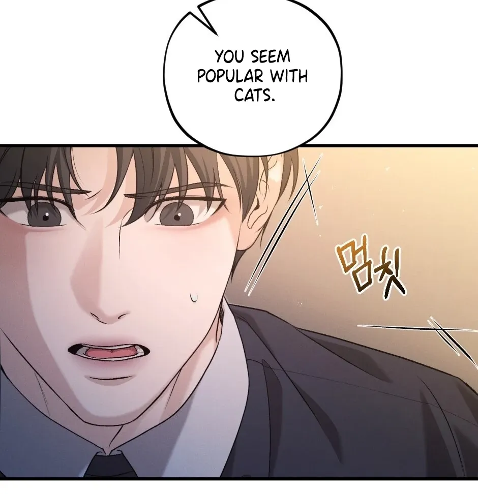 His Last Choice Chapter 6 page 84 - 