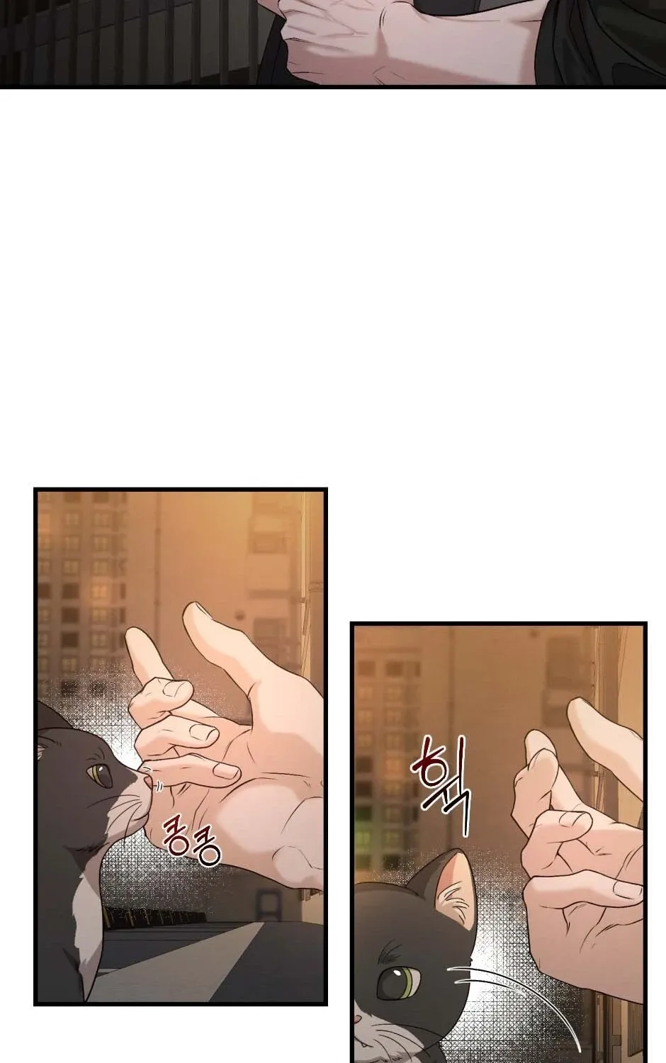 His Last Choice Chapter 7 page 19 - 