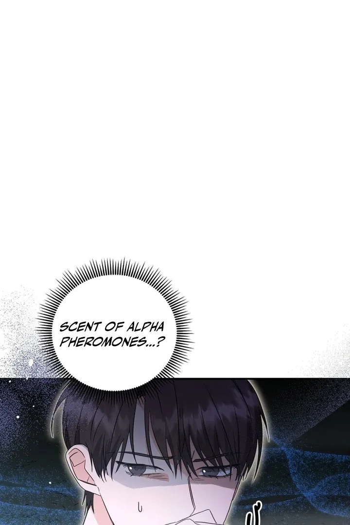 His Time as an Alpha Began After Eating Gongjin-dan Chapter 2 page 64 - 