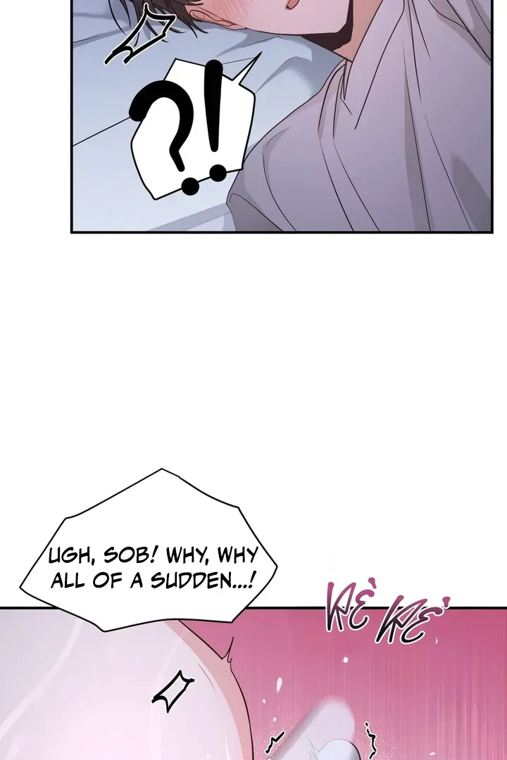 His Time as an Alpha Began After Eating Gongjin-dan Chapter 3 page 27 - 