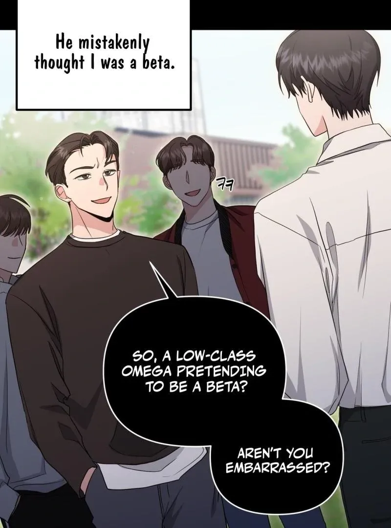His Time as an Alpha Began After Eating Gongjin-dan Chapter 7 page 13 - 