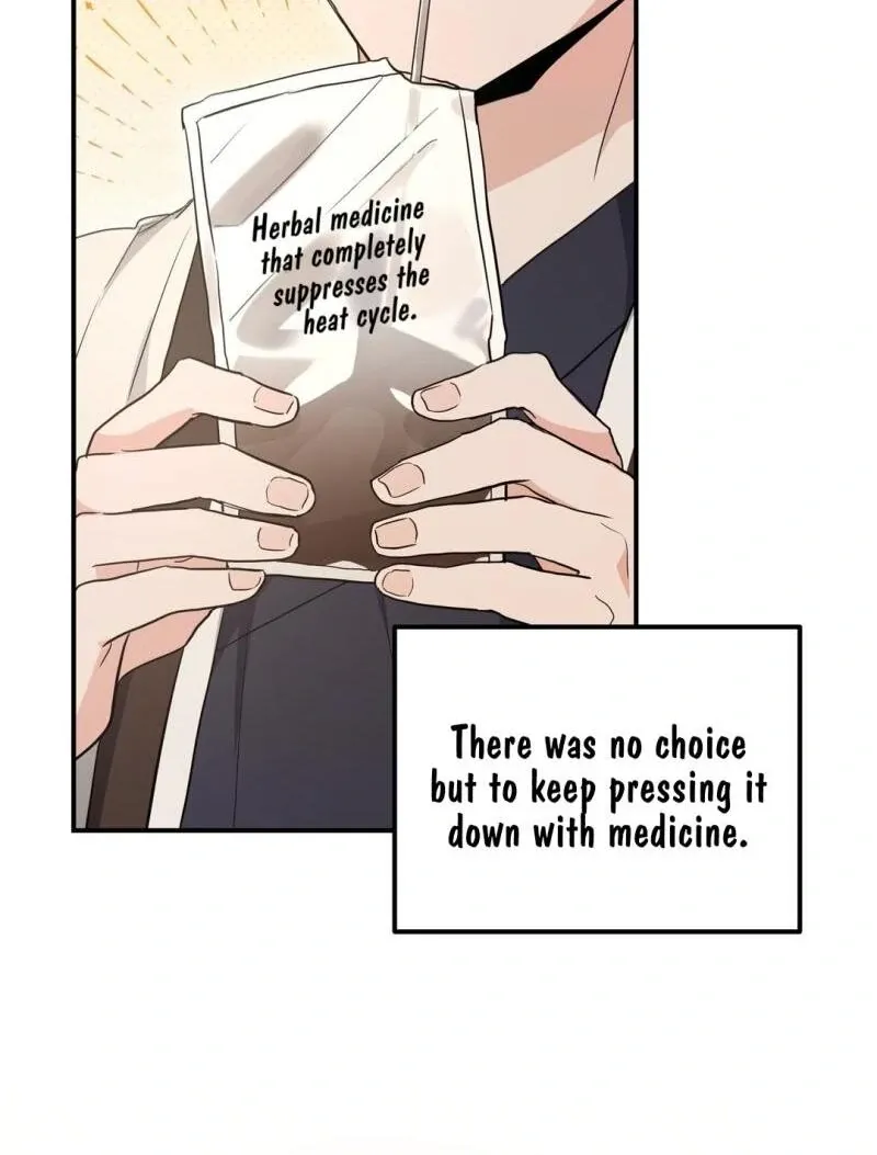 His Time as an Alpha Began After Eating Gongjin-dan Chapter 7 page 31 - 