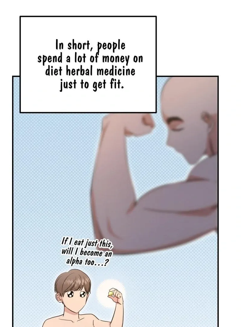 His Time as an Alpha Began After Eating Gongjin-dan Chapter 7 page 43 - 