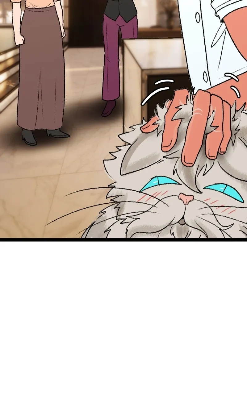Hit On Me Chapter 18 page 87 - 
