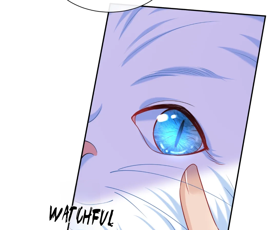 Hold Tight to My Ex-Husband Chapter 158 page 56 - 