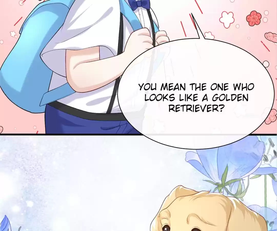 Hold Tight to My Ex-Husband Chapter 49 page 23 - 
