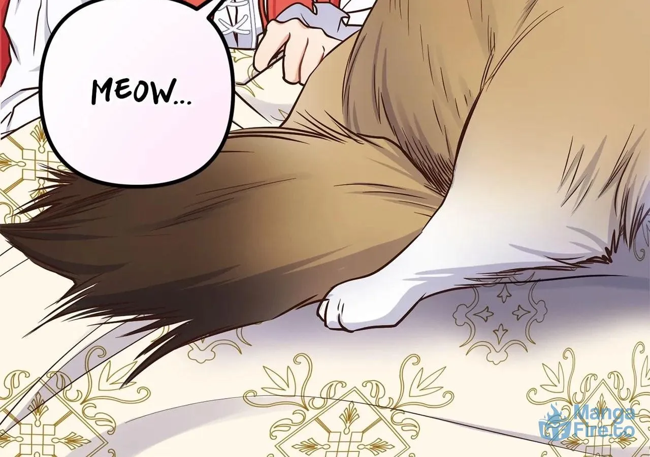 Holding You Captive Chapter 46 page 151 - 
