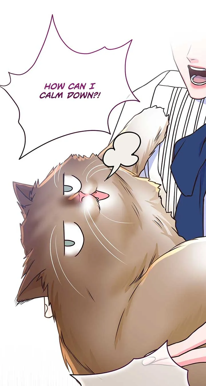 Holding You Captive Chapter 50 page 35 - 