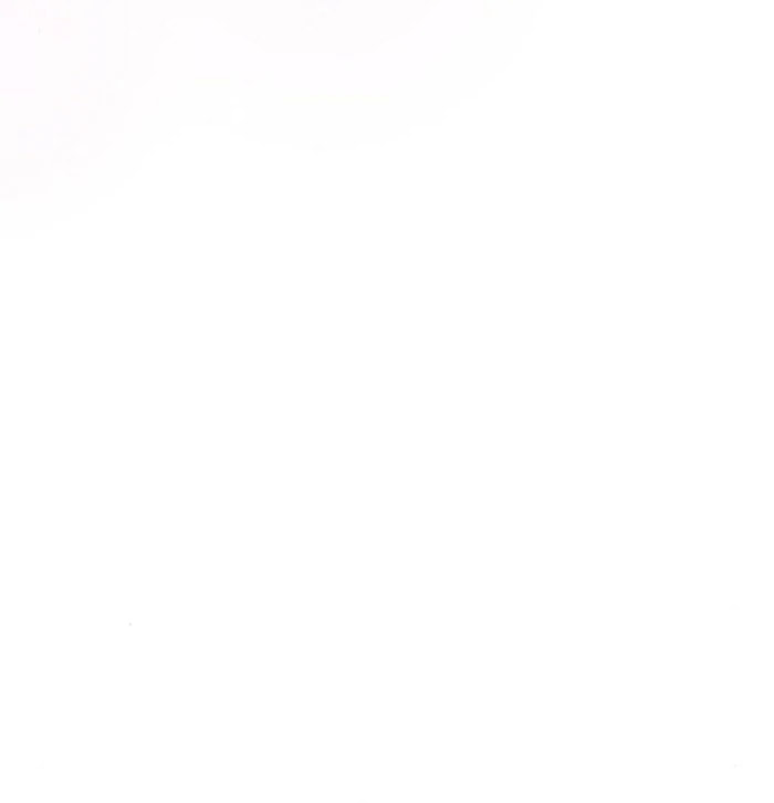 Holding You Close Chapter 52 page 85 - 