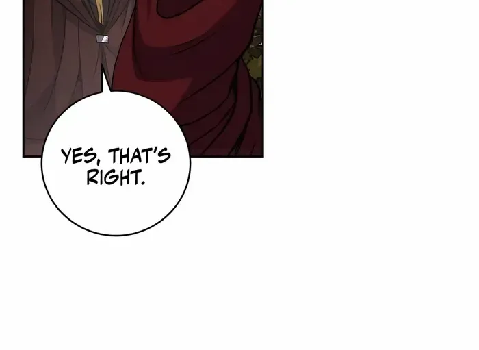 HOLY EMPEROR’S GRANDSON IS A NECROMANCER Chapter 35 page 27 - 