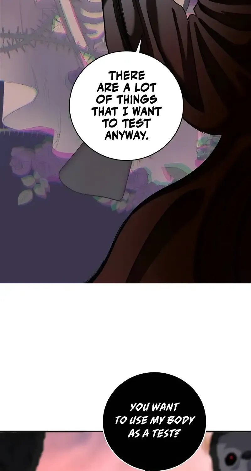 HOLY EMPEROR’S GRANDSON IS A NECROMANCER Chapter 41 page 42 - 
