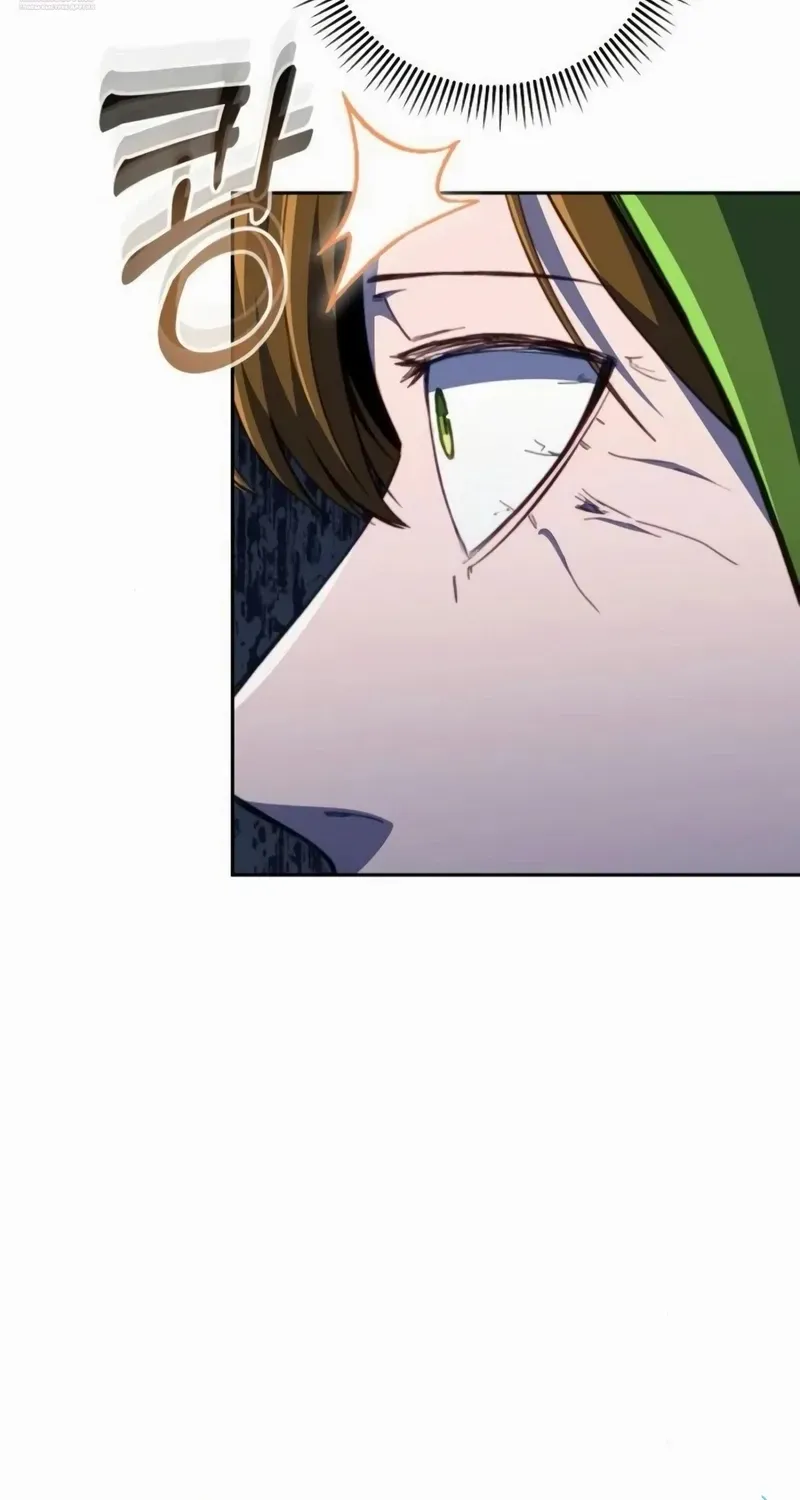 HOLY EMPEROR’S GRANDSON IS A NECROMANCER Chapter 91 page 73 - 