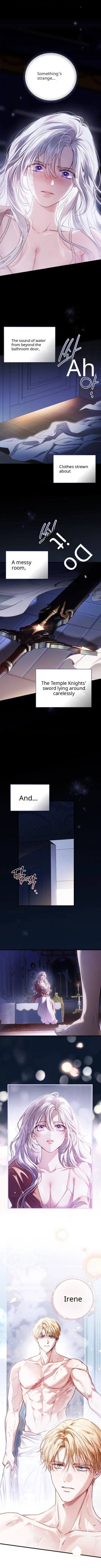 Holy Night: My Husband is Definitely a Paladin Chapter 0 page 2 - 