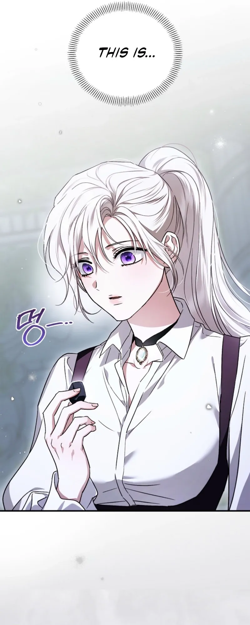 Holy Night: My Husband is Definitely a Paladin Chapter 12 page 3 - 