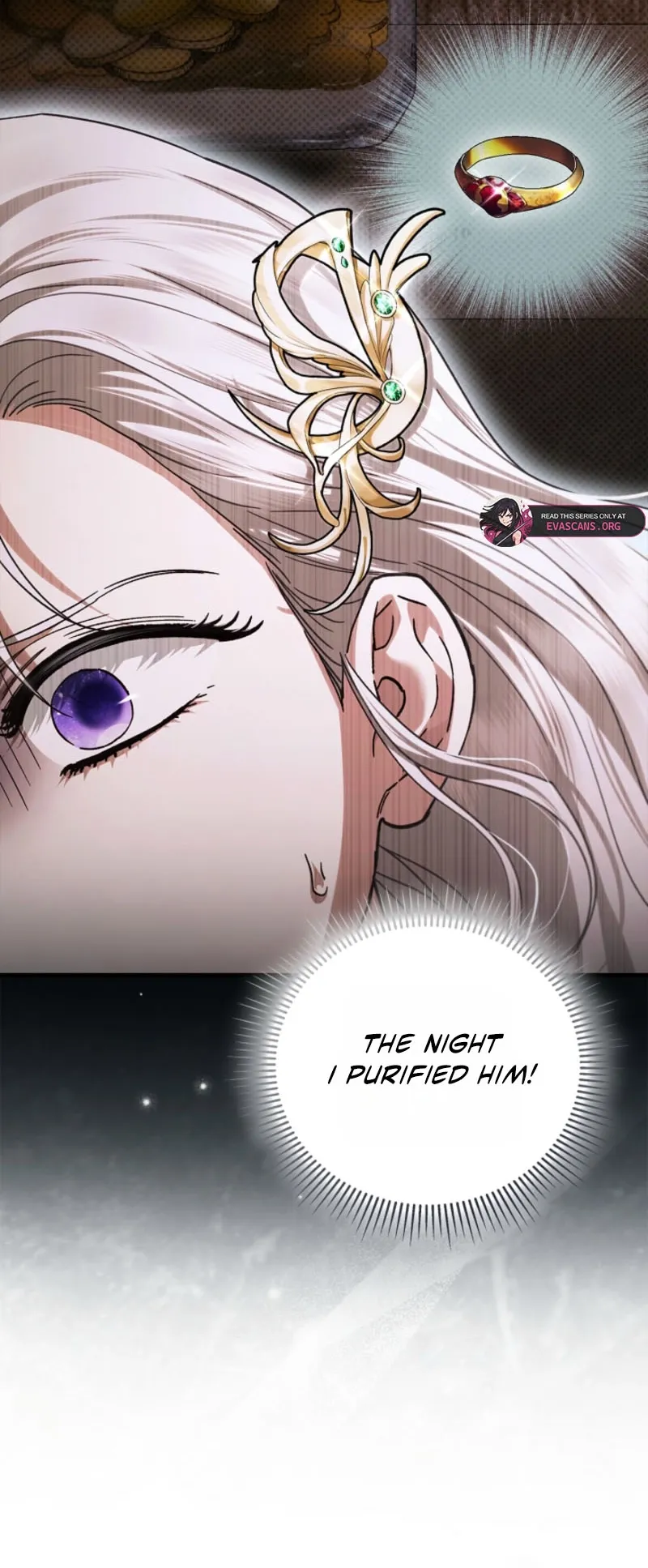 Holy Night: My Husband is Definitely a Paladin Chapter 20 page 38 - 