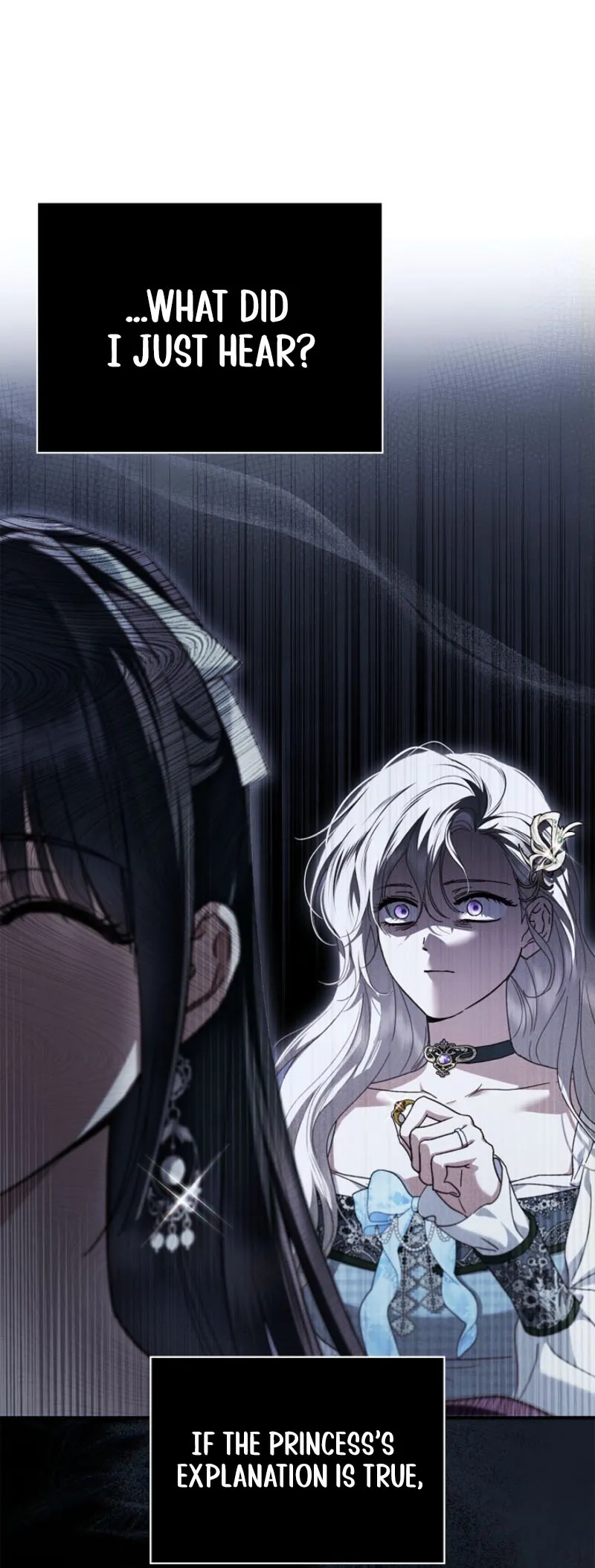 Holy Night: My Husband is Definitely a Paladin Chapter 20 page 46 - 