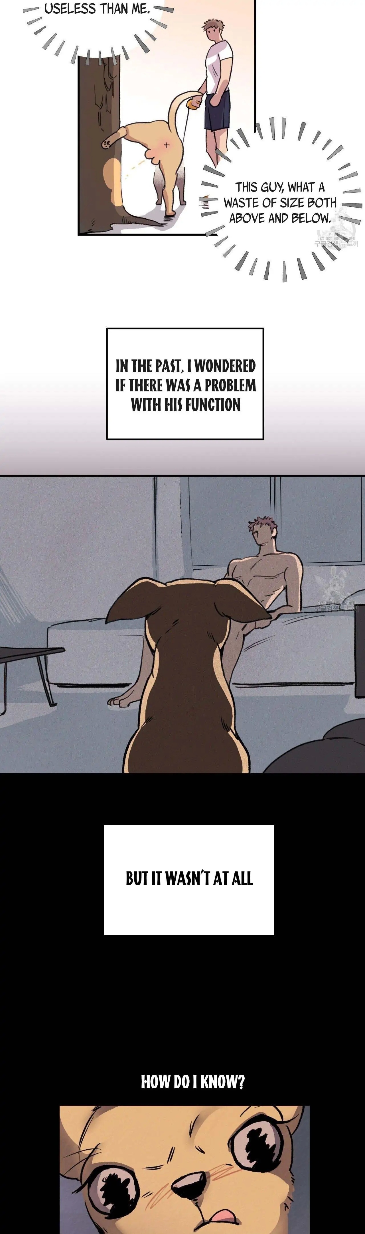 Honey Bear Chapter 1.2 page 4 - 
