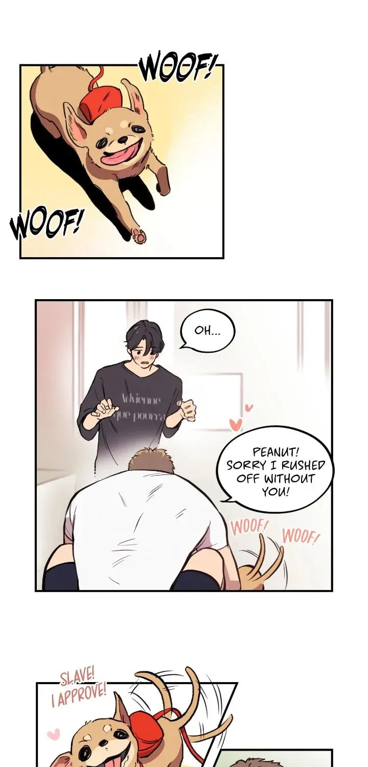Honey Bear Chapter 1 page 39 - 
