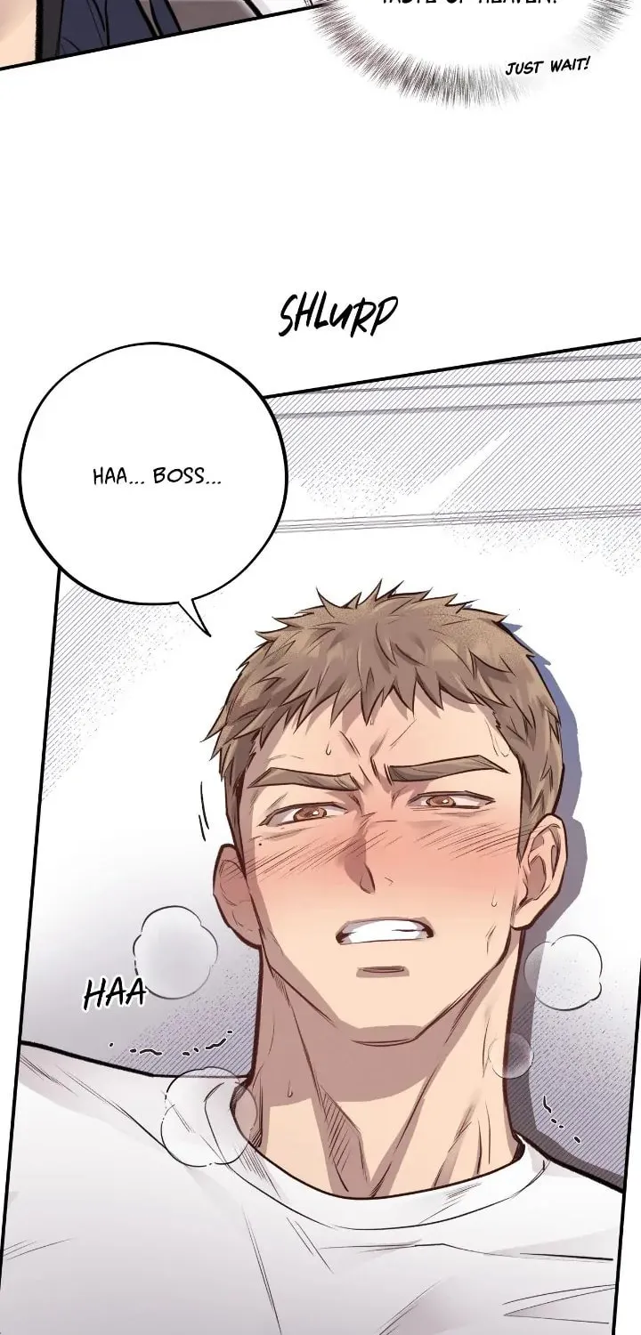 Honey Bear Chapter 12 page 43 - 