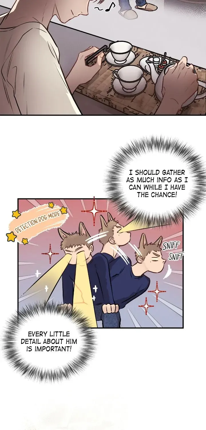 Honey Bear Chapter 14 page 25 - 