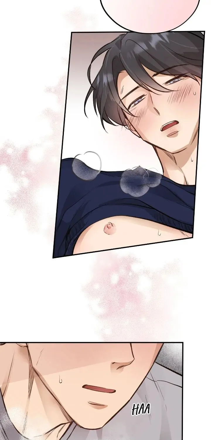 Honey Bear Chapter 15 page 45 - 