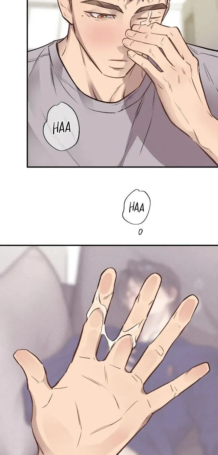 Honey Bear Chapter 15 page 66 - 