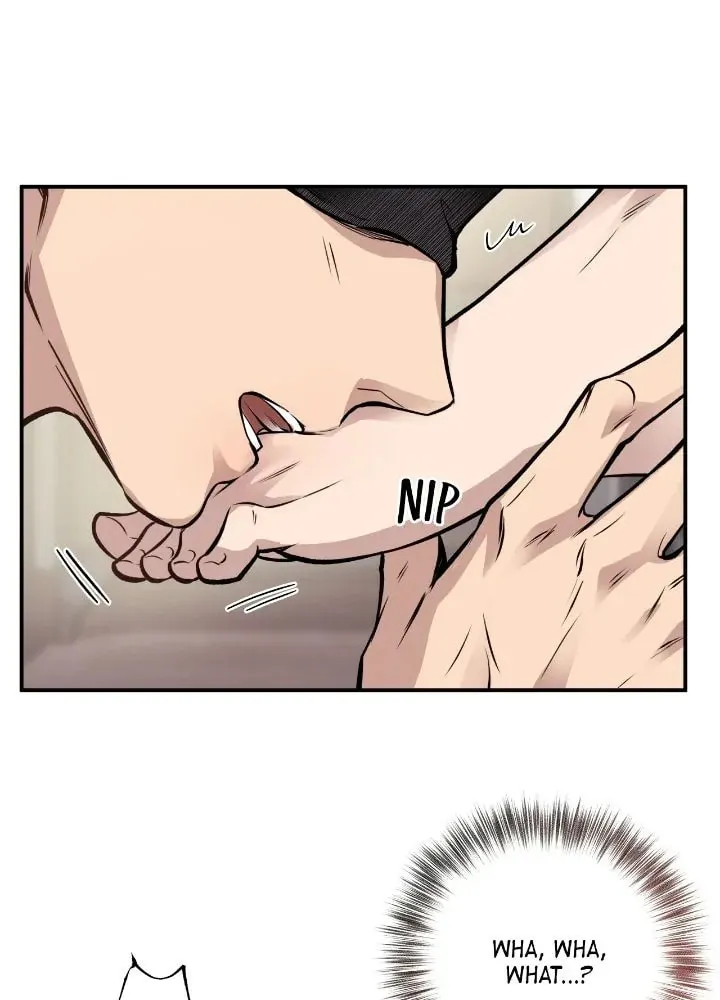 Honey Bear Chapter 18 page 28 - 