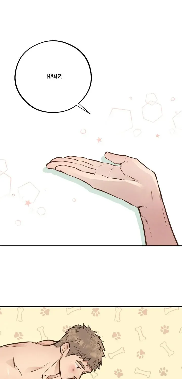 Honey Bear Chapter 19 page 13 - 