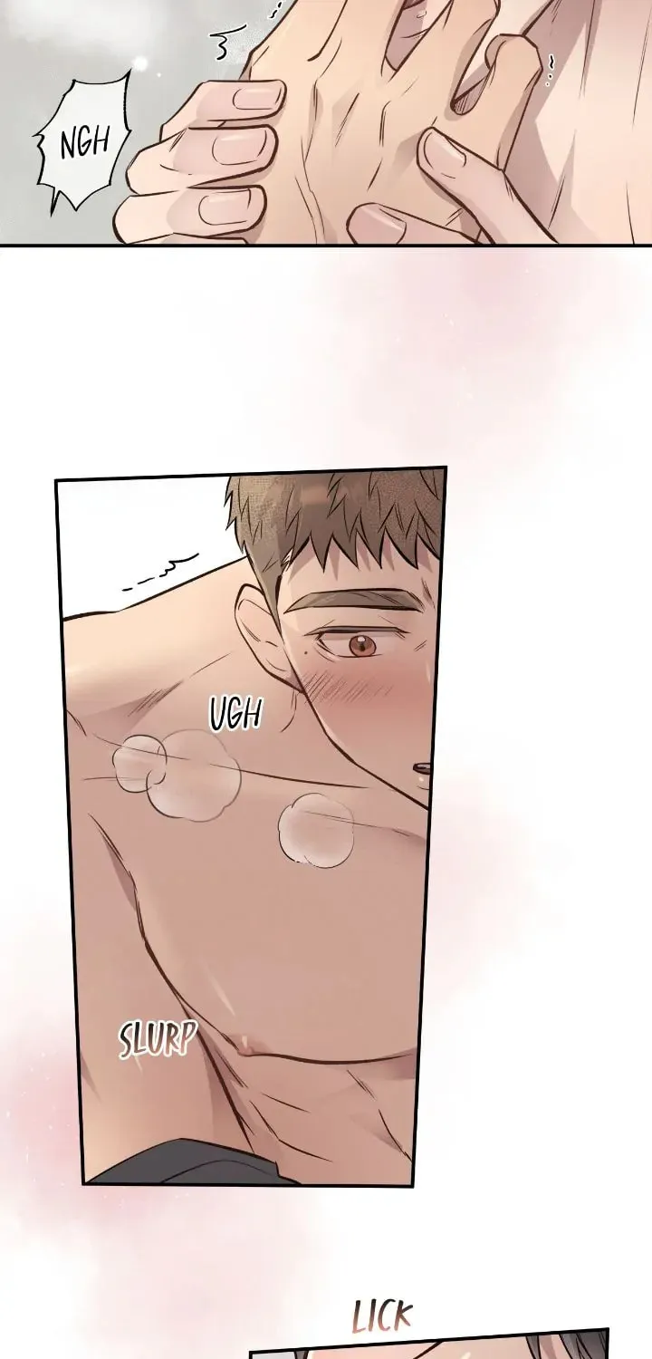 Honey Bear Chapter 19 page 16 - 