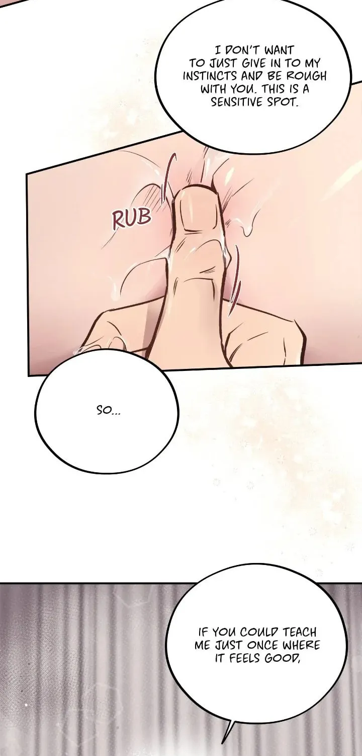 Honey Bear Chapter 19 page 31 - 