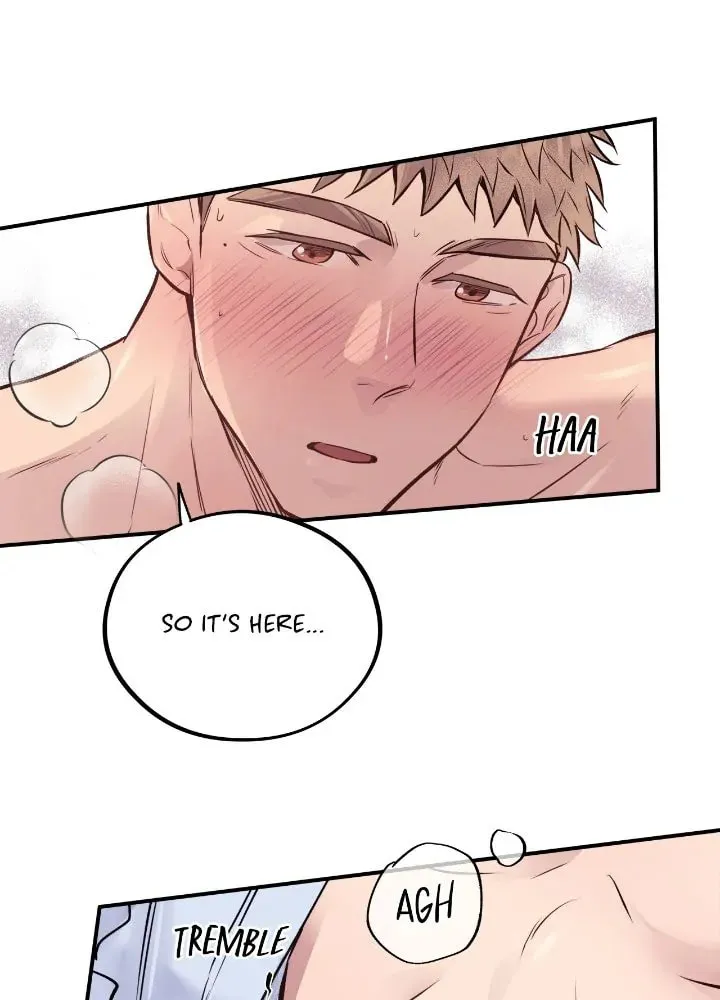 Honey Bear Chapter 19 page 38 - 