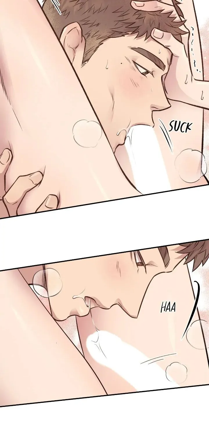 Honey Bear Chapter 19 page 65 - 