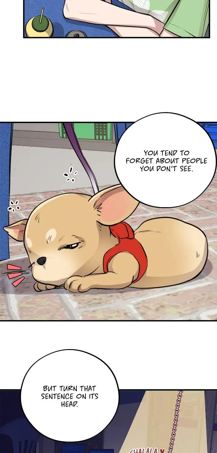 Honey Bear Chapter 4 page 41 - 
