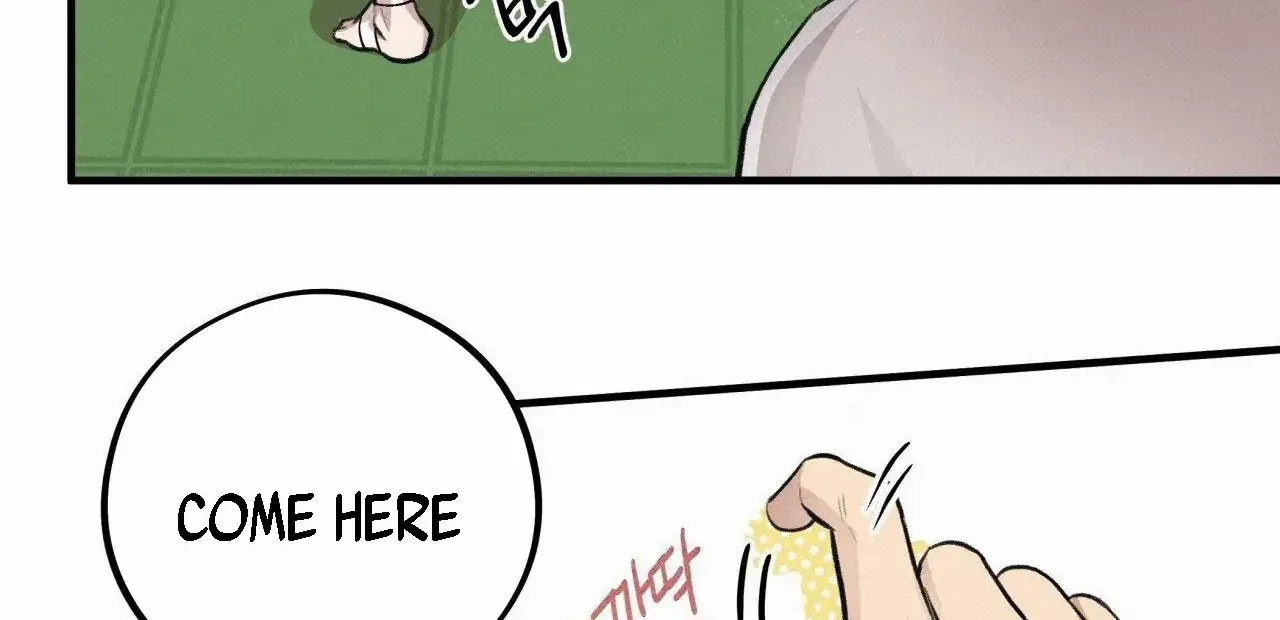 Honey Bear Chapter 7.1 page 37 - 