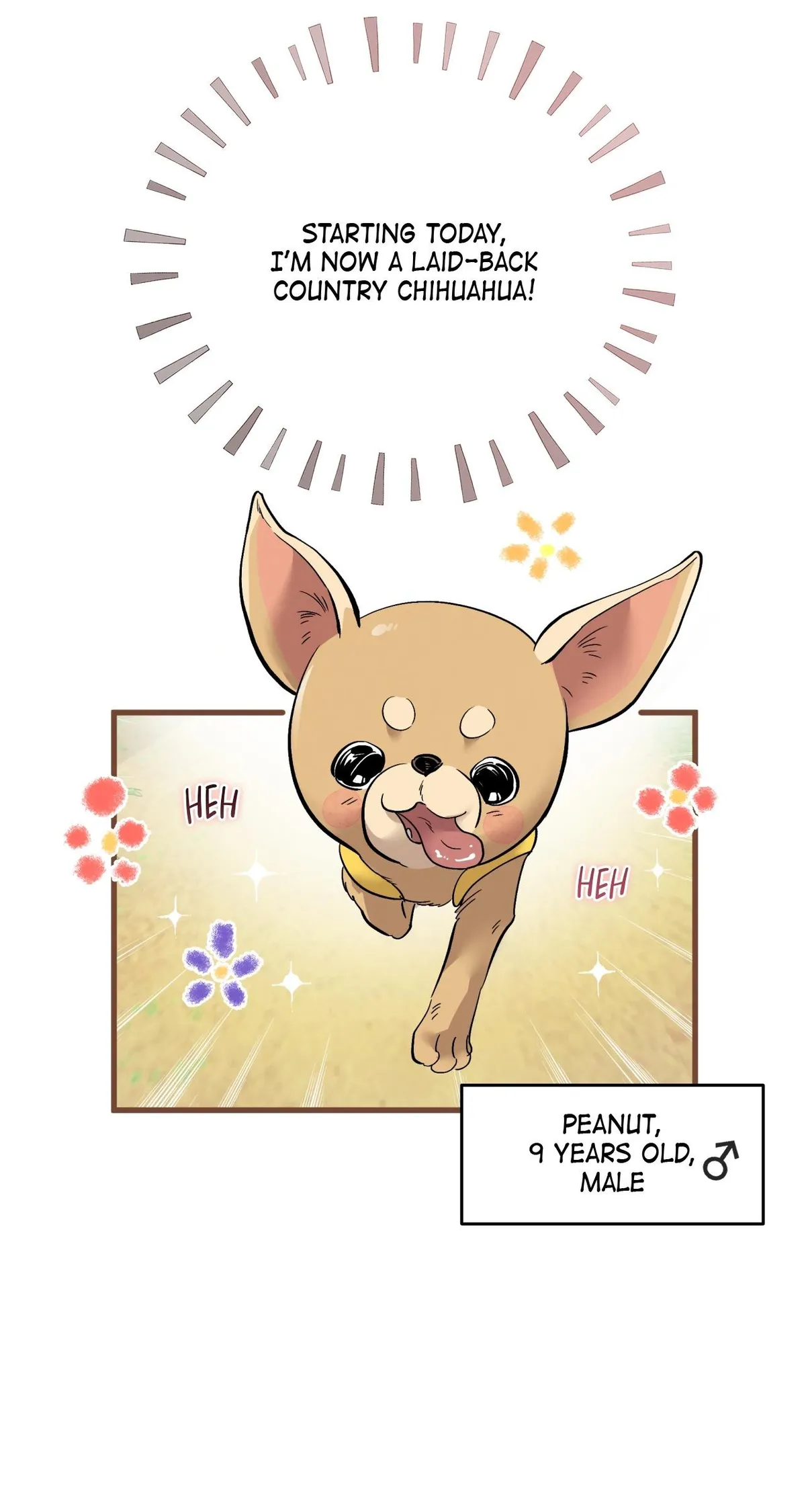 Honey Bear Chapter 97 page 45 - 