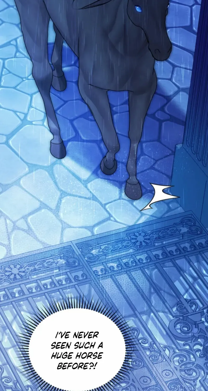 Honey, I Believe That’s Your Misunderstanding Chapter 11 page 30 - 