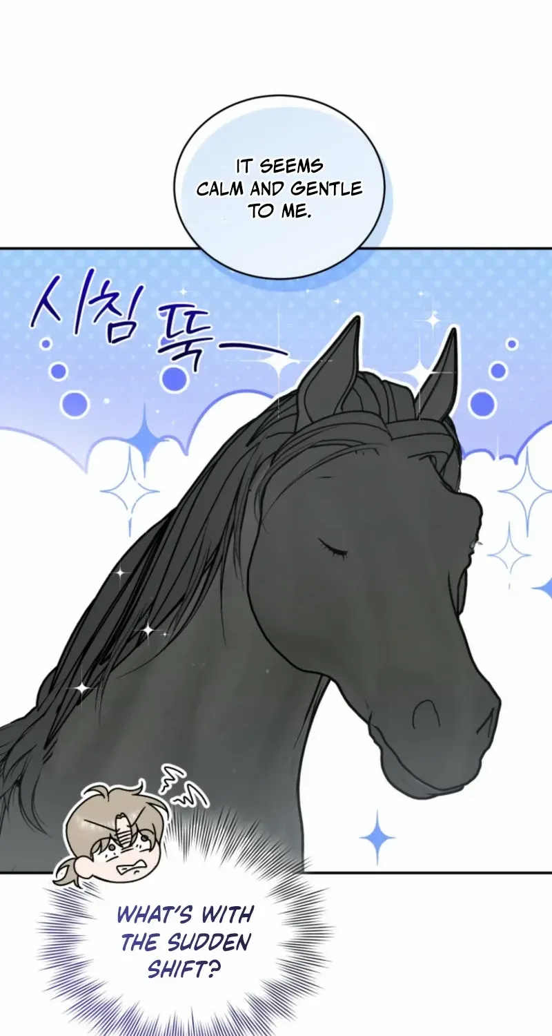 Honey, I Believe That’s Your Misunderstanding Chapter 12 page 40 - 