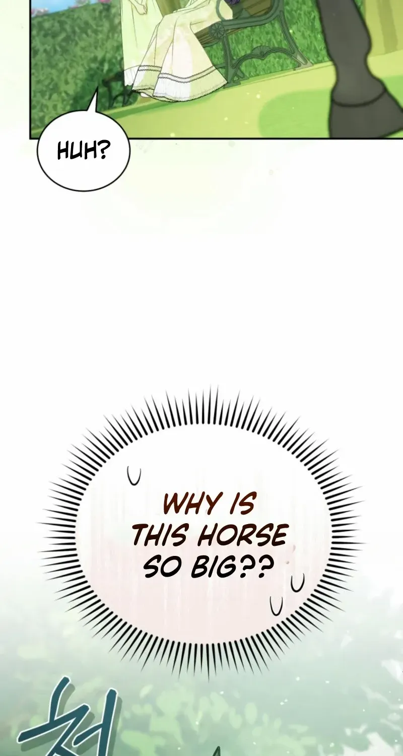 Honey, I Believe That’s Your Misunderstanding Chapter 13 page 39 - 
