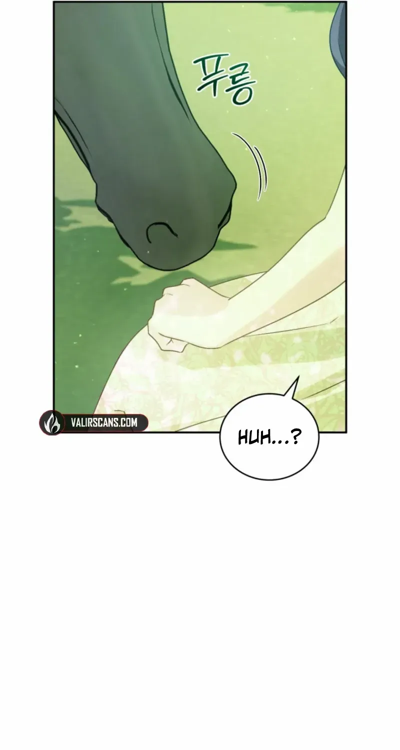 Honey, I Believe That’s Your Misunderstanding Chapter 13 page 42 - 