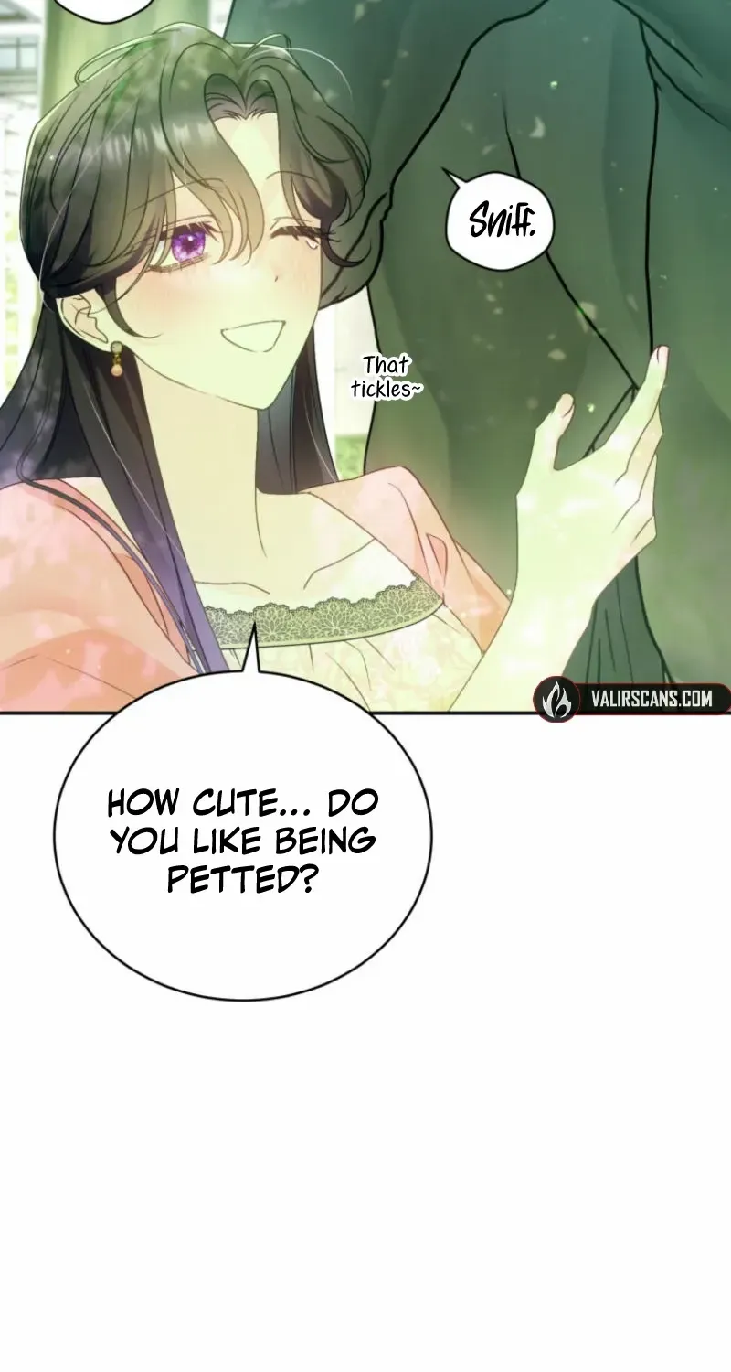 Honey, I Believe That’s Your Misunderstanding Chapter 13 page 48 - 