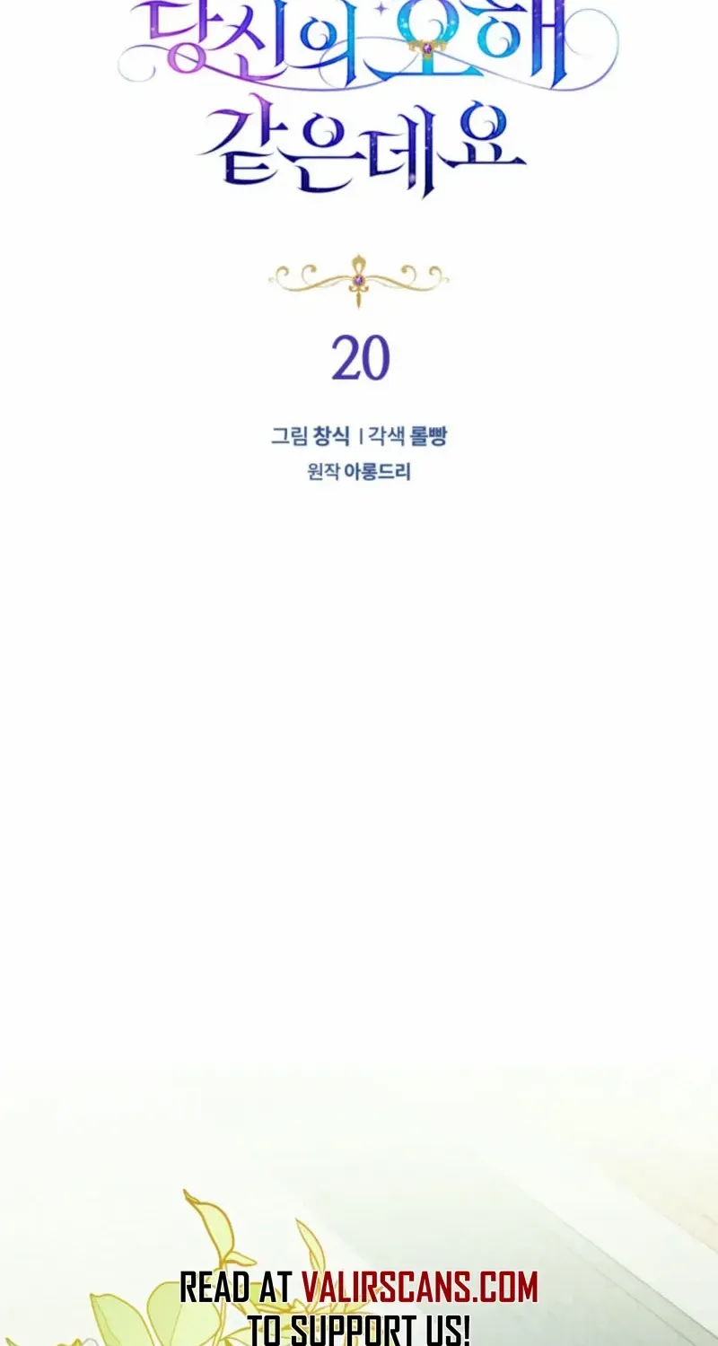 Honey, I Believe That’s Your Misunderstanding Chapter 20 page 47 - 