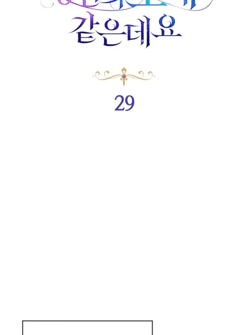 Honey, I Believe That’s Your Misunderstanding Chapter 29 page 31 - 