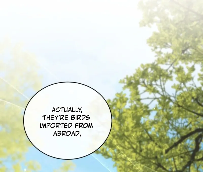 Honey, I Believe That’s Your Misunderstanding Chapter 31 page 34 - 