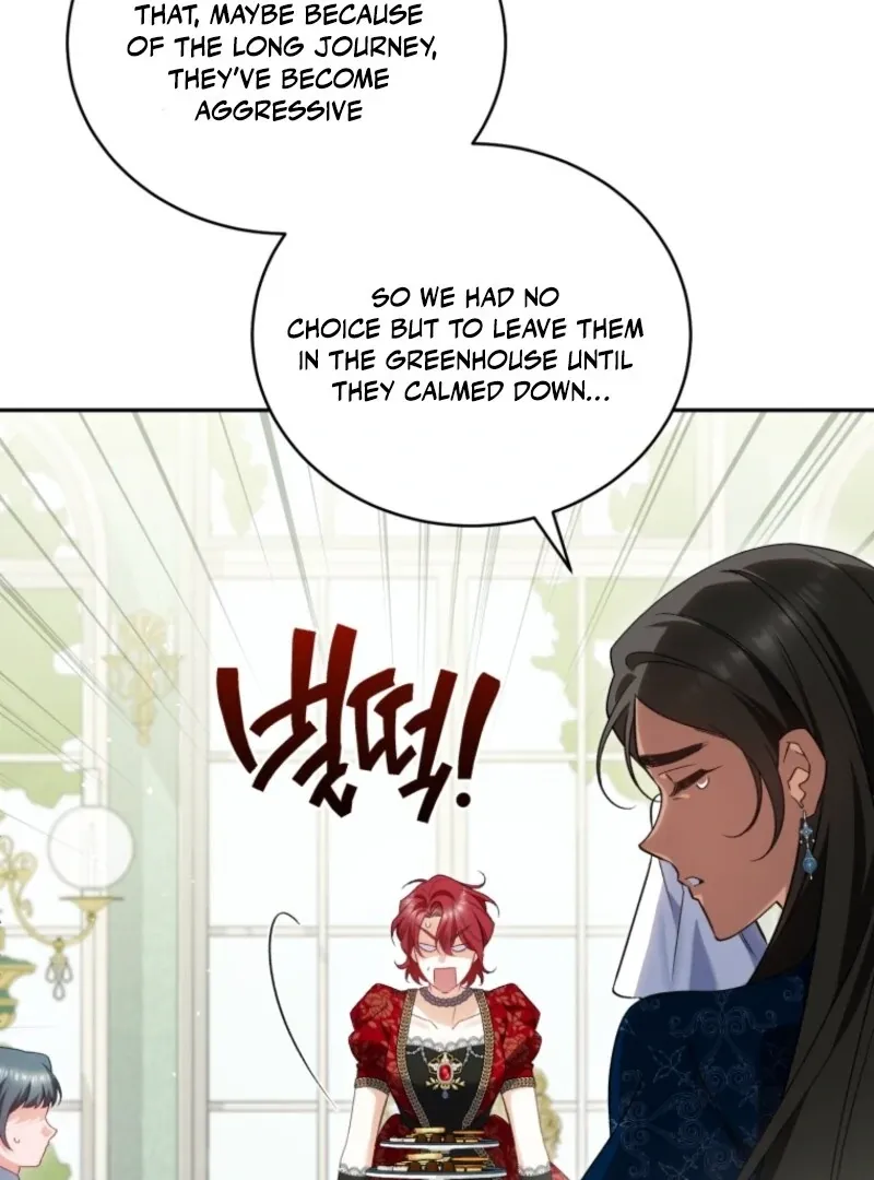 Honey, I Believe That’s Your Misunderstanding Chapter 31 page 38 - 