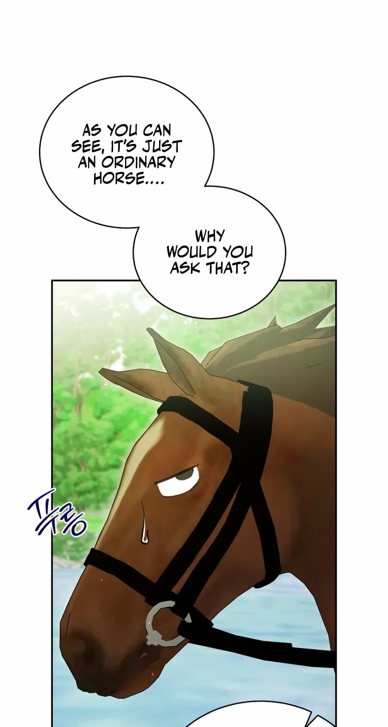 Honey, I Believe That’s Your Misunderstanding Chapter 34 page 66 - 